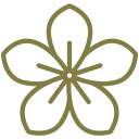 flower-1769196047.png